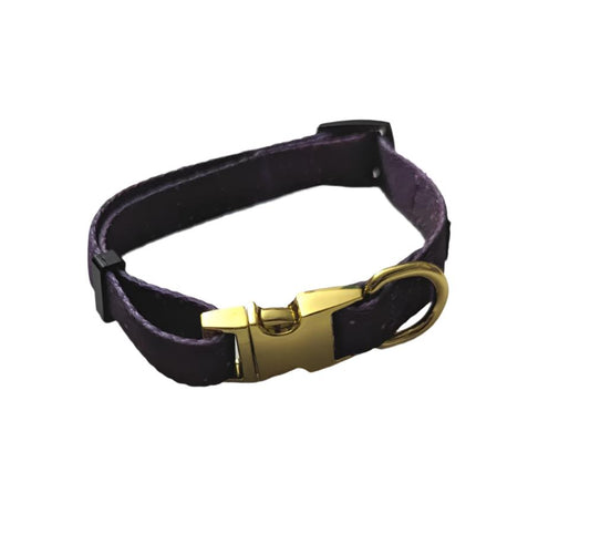 Galaxy Pet Collar with Metal Buckle (Pre-Order)