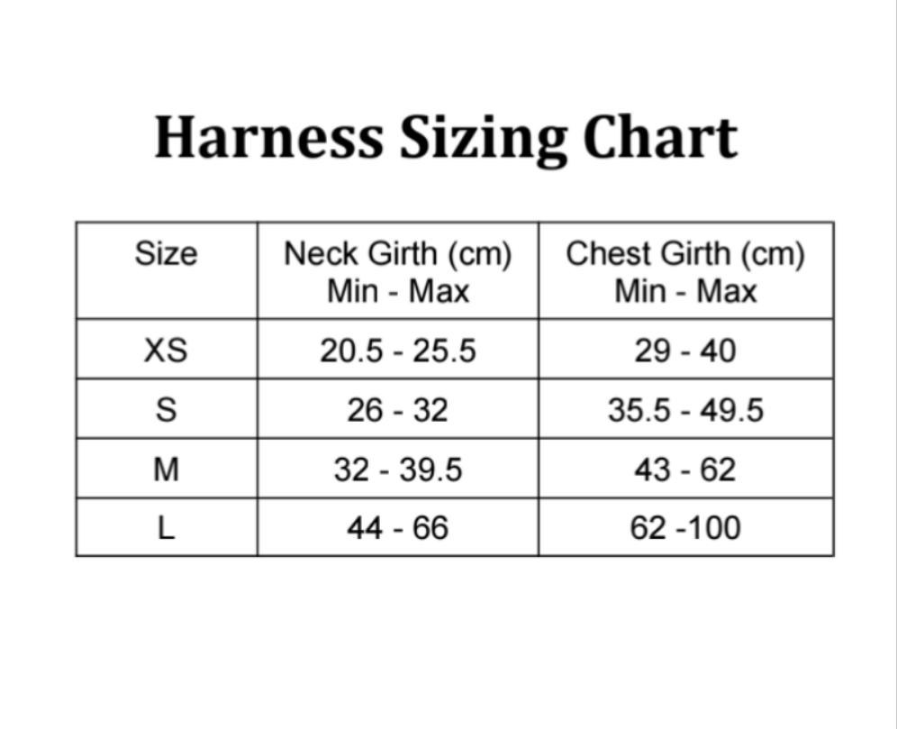 Moon Bunny Pet Harness