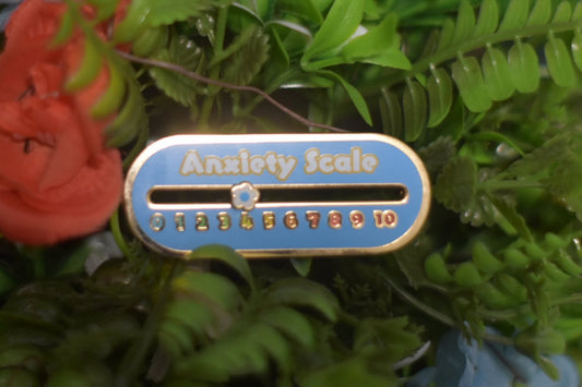 Sliding Anxiety Scale Pin