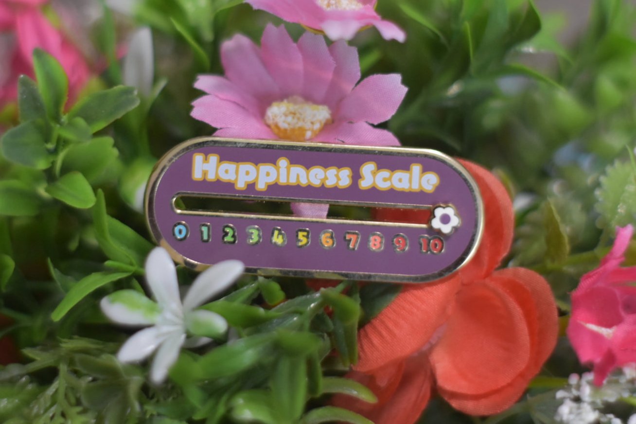 Sliding Happiness Scale Pin – Bibipins