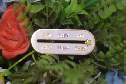 Sliding Pronoun Scale Pin V2