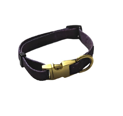 Galaxy Pet Collar with Metal Buckle (Pre-Order)