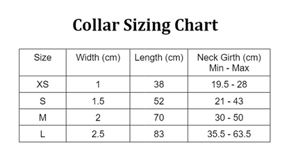 Galaxy Pet Collar with Metal Buckle